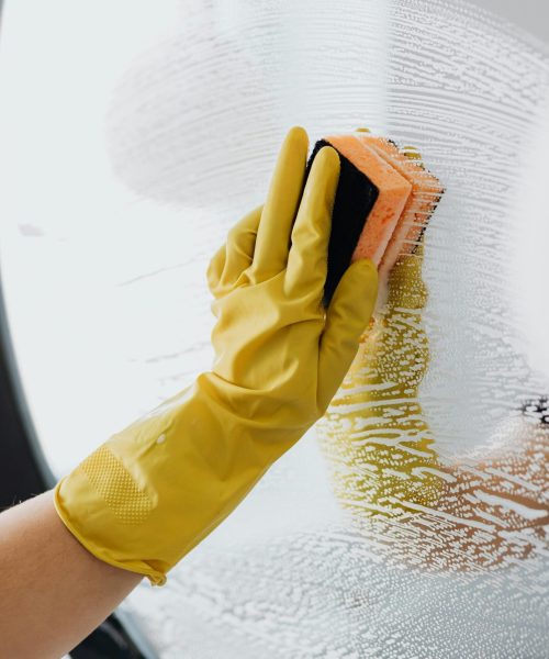 pexels-karolina-grabowska-4239146